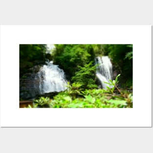 Anna Ruby Falls Posters and Art